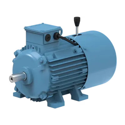 Lubi Single Phase Induction Motor