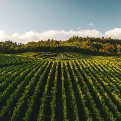 Agricultural