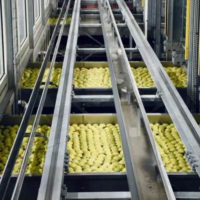 Food Processing